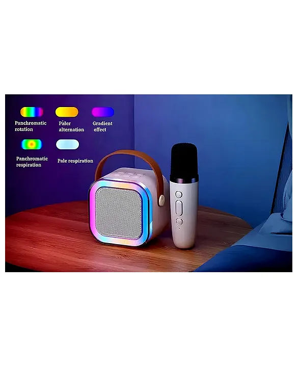 Karaoke speaker with mic