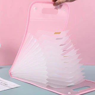 Big Size A4 Documents Folder - 12 slots