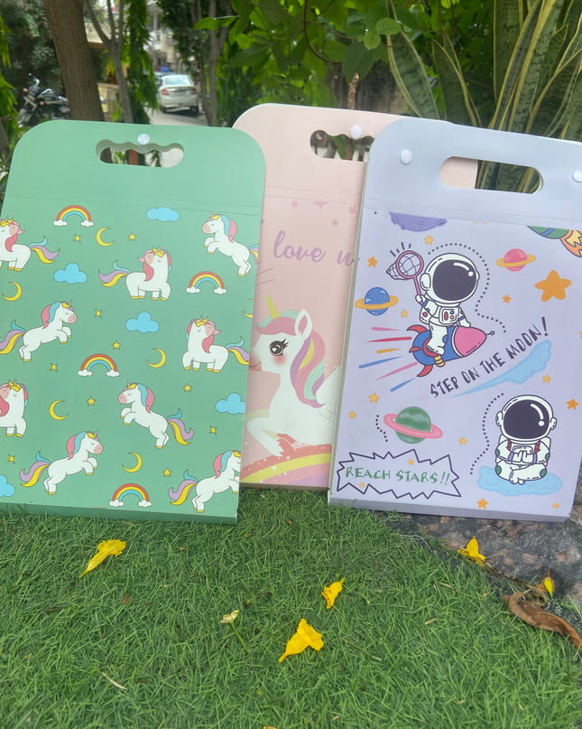 Big Size A4 Documents Folder - 12 slots