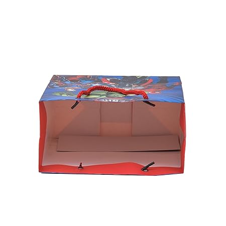 Paper Carry Bags