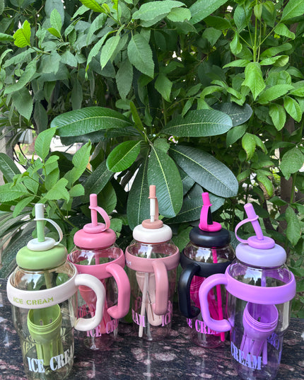 Ice cream Water Bottle