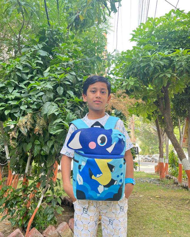 School Backpacks