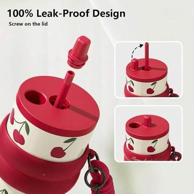Korean Steel Tumbler (aa741)
